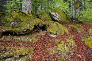 cauterets2_800.jpg