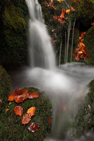 6421164045_ff567e3676.jpg