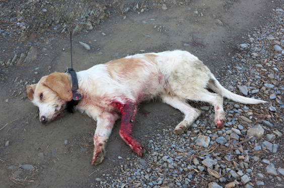 Captura de pantalla 2014-01-21 a la(s) 23.45.18